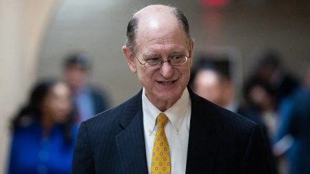 Homme Politique Brad Sherman