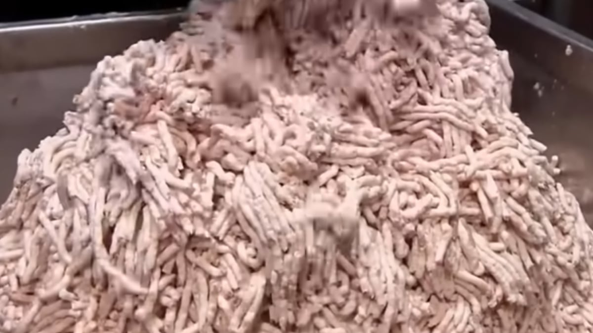 Hot-Dogs Fabrication