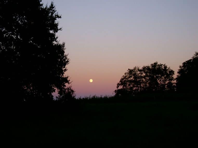 Paysage nocturne au clair de lune avec horizon dégagé et ciel sombre, plein cadre horizontal, atmosphère calme et lumineuse.