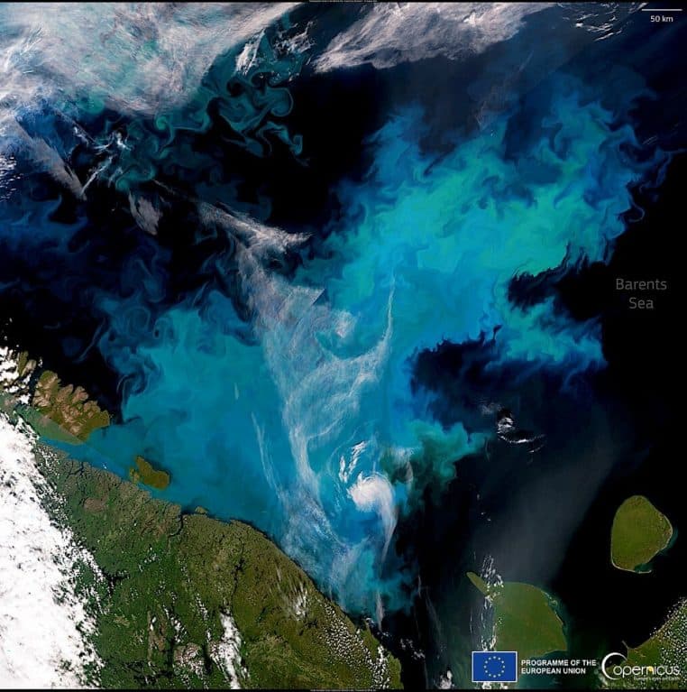 Image satellite montrant un bloom de phytoplancton spiralé mêlé à des plaques de glace dérivante dans la mer de Barents en plein été.