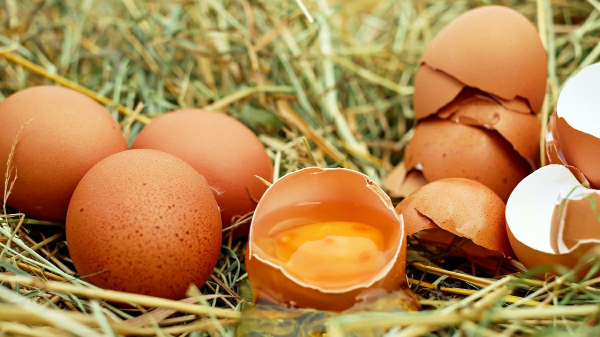 Oeufs Crus Inconvenients