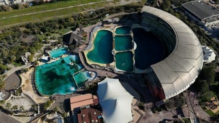 Orques Marineland Prisonniers