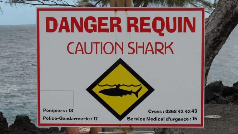 Panneau danger requin bilingue installé en bord de falaise à La Réunion, avec la mer grise visible derrière le panneau d’alerte