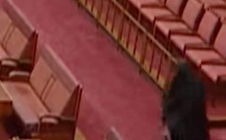 Parlement sénatrice burqa Australie