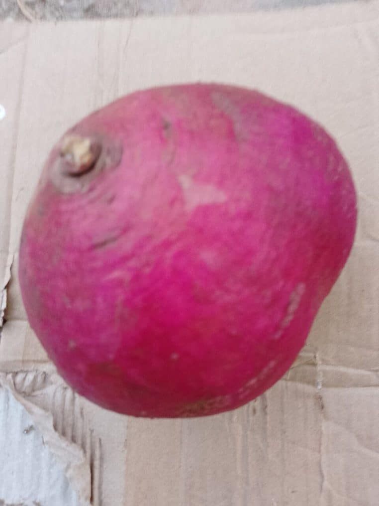 Patate douce à chair violette coupée en deux sur une planche, révélant sa couleur pourpre vive à l’intérieur du tubercule.