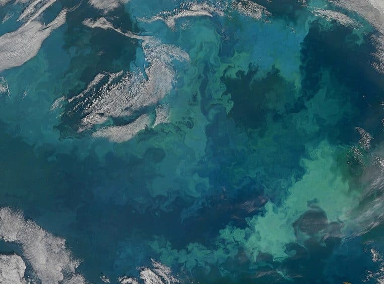Gros plan satellite d’un bloom de phytoplancton aux nuances turquoise et vert émeraude couvrant la surface de la mer de Barents.