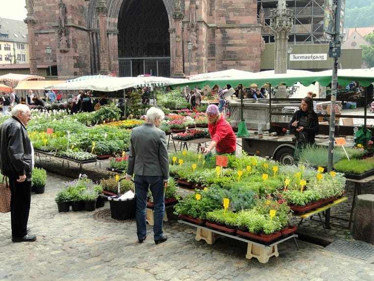 Marché aux plantes sur la Münsterplatz de Freiburg, étals colorés et passants, vue horizontale en plein jour.