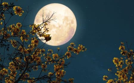 Pleine Lune info