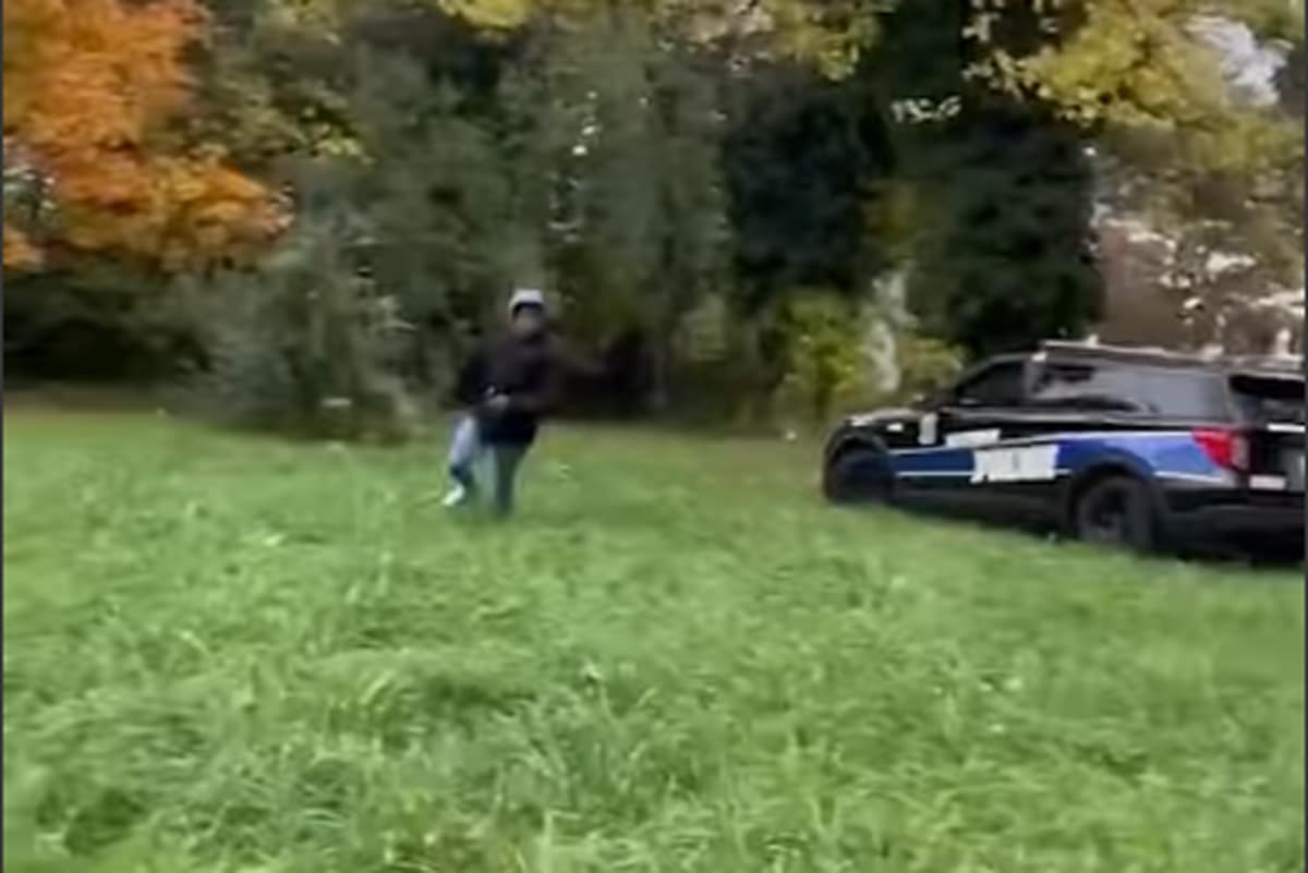 Policier Renverse Civil