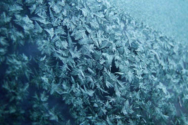 Vue à travers un pare-brise recouvert de givre, les contours des sapins en hiver restent à peine visibles à travers les cristaux de glace.