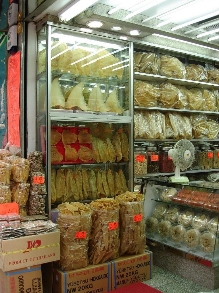 Rayons d’une boutique à Hong Kong remplis de sacs transparents d’ailerons de requin séchés, suspendus et empilés derrière la vitrine.