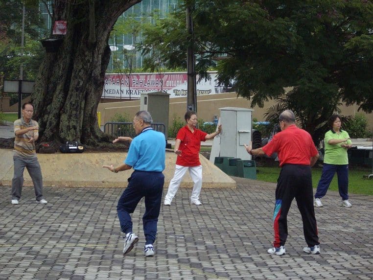 Pratiquants dans le parc de Bishan (Singapour), pas glissés et postures ouvertes, lumière douce