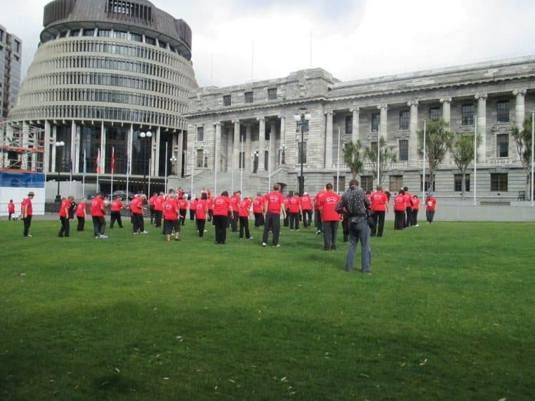 Pratique posée devant le Parlement néo-zélandais : enchaînement debout, buste droit, mains en extension