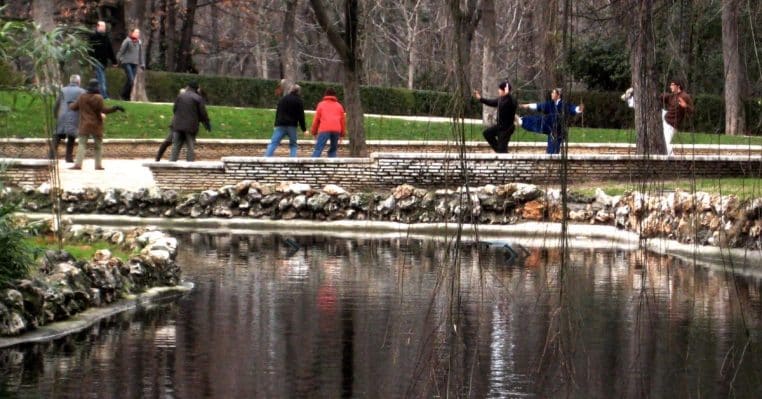 Séance de tai-chi en plein air, grande pelouse arborée, groupe intergénérationnel à Madrid