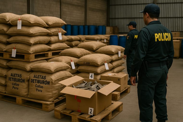 Sacs d’ailerons de requin saisis dans un entrepôt de Callao au Pérou, inspectés par deux policiers en uniforme parmi des palettes étiquetées.