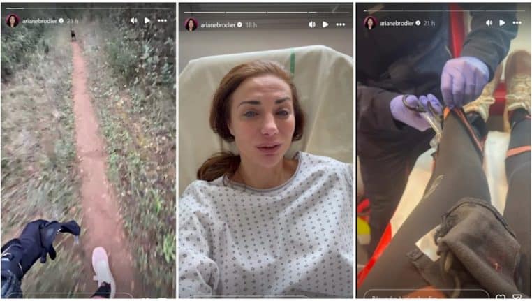 ariane brodier mordu par u nchien