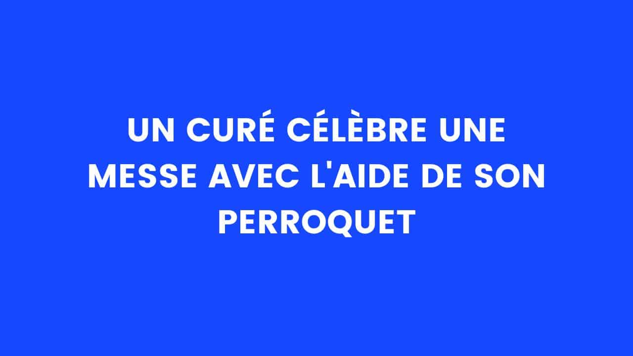 blague cure perroquet