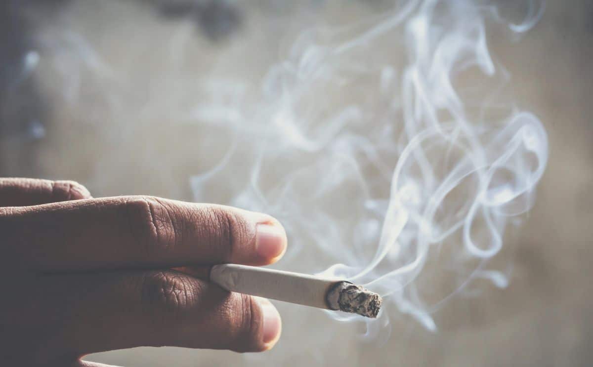 cigarette loi cigarettes actu