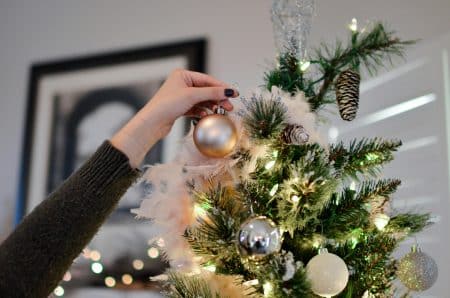 Quand et comment choisir son sapin de Noël ?