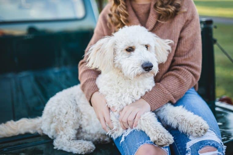 Jeune femme assise à l’extérieur, tenant son chien contre elle, le regard tourné vers le loin, illustrant un lien affectif calme et confiant.