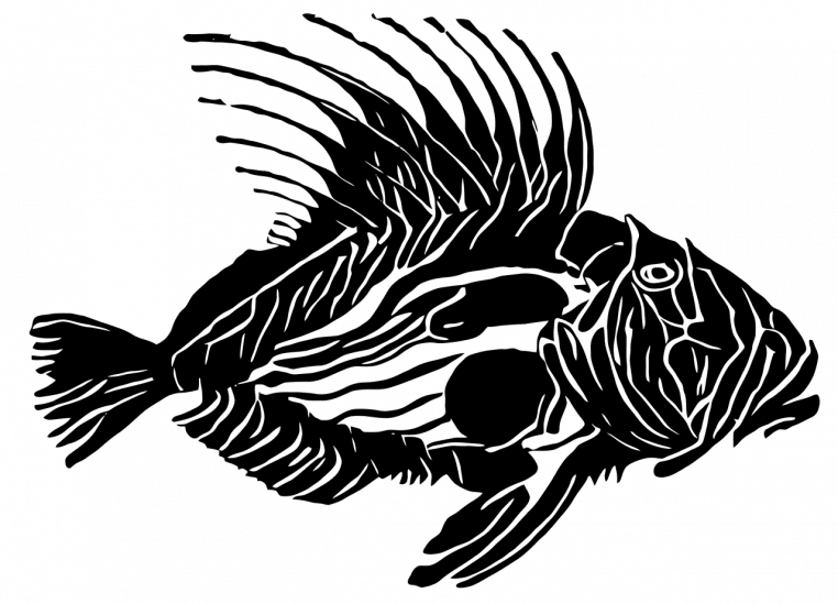 Illustration colorée d’animaux marins et de poissons dans un décor océanique, évoquant les fonds tropicaux.