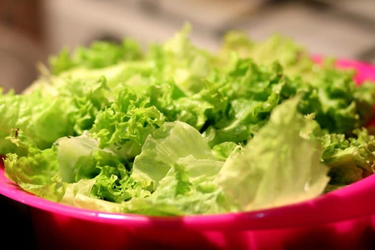 Grande assiette de salade verte et légumes frais photographiée en gros plan sur une table en bois, illustrant un repas équilibré après plusieurs heures de jeûne intermittent.