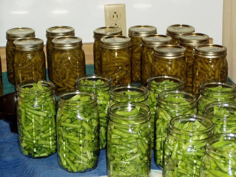 Des femmes en tablier rangent des bocaux de haricots verts et de légumes en conserve sur une table, dans une cuisine ou un atelier de mise en bocaux.