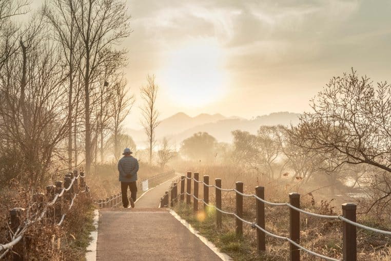 Homme senior marchant seul sur un chemin de parc arboré au petit matin, dos légèrement penché, lumière douce d’automne et ambiance calme