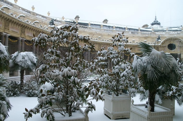 Vue en contre-plongée d’un bâtiment parisien en hiver, façades givrées et arbres nus encadrant un ciel d’un gris neigeux
