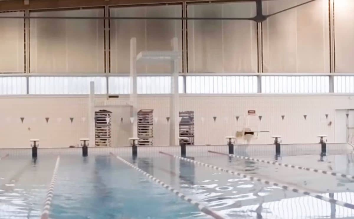 piscine mort plonger plongeon