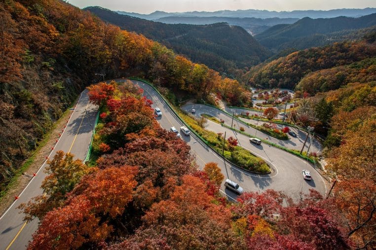 Route sinueuse bordée de forêts d’automne, parcourue par plusieurs voitures, montrant la vitesse et l’inertie des véhicules motorisés sur les axes routiers modernes.