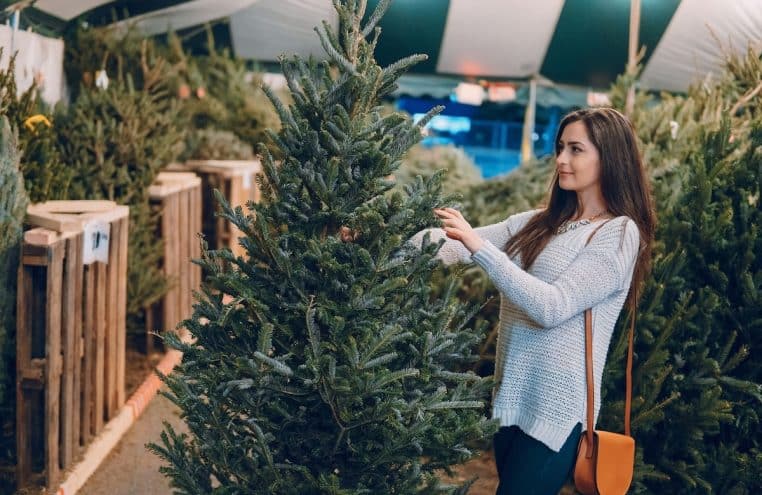sapin de noel ver gache fête