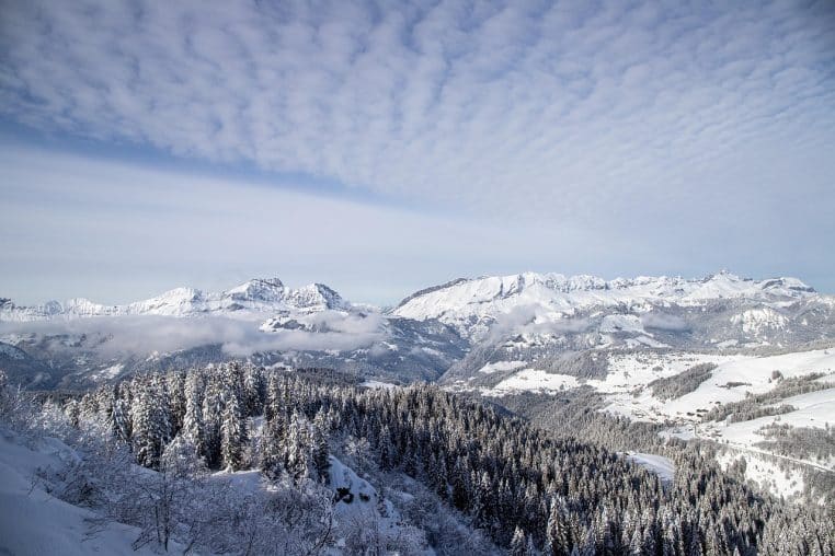 Large panorama de Savoie avec une forêt de sapins chargés de neige au premier plan et des sommets alpins totalement blancs sous un ciel voilé.