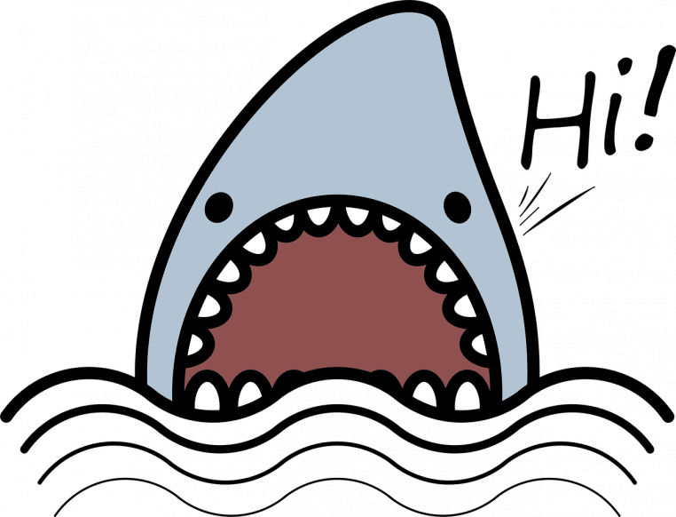 Illustration d’un requin stylisé évoluant dans l’océan, entouré de bancs de poissons, en pleine vie marine.