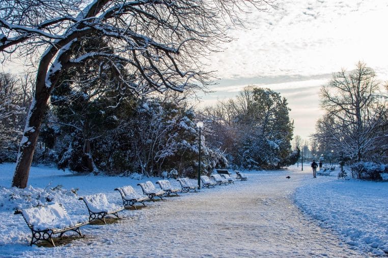 Allée de parc complètement recouverte de neige, bancs alignés sous des arbres givrés et silhouette d’un promeneur au loin.