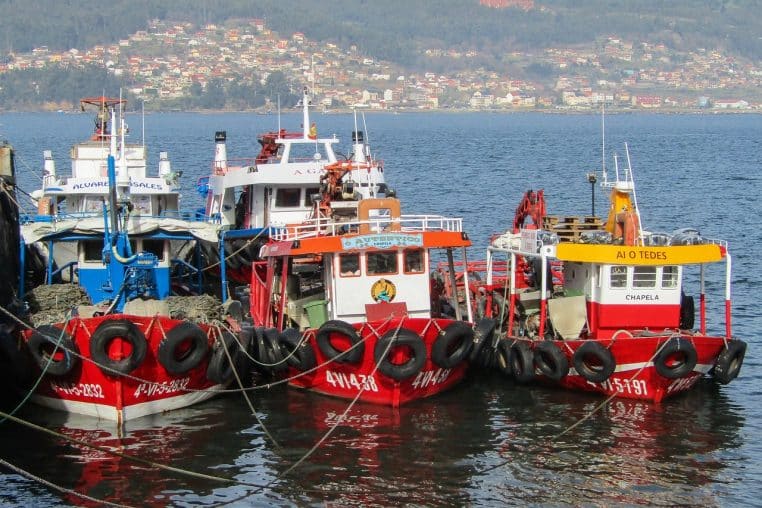 Vue panoramique sur plusieurs bateaux amarrés dans un estuaire galicien, avec les collines et les installations portuaires à l’arrière-plan sous un ciel légèrement brumeux