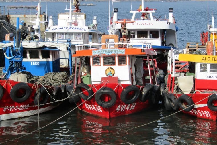 Alignement de bateaux de pêche amarrés dans un port de Galice entouré de collines, sous une lumière douce rappelant les paysages de la côte nord-ouest espagnole