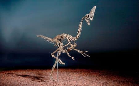 Dinosaure Spike
