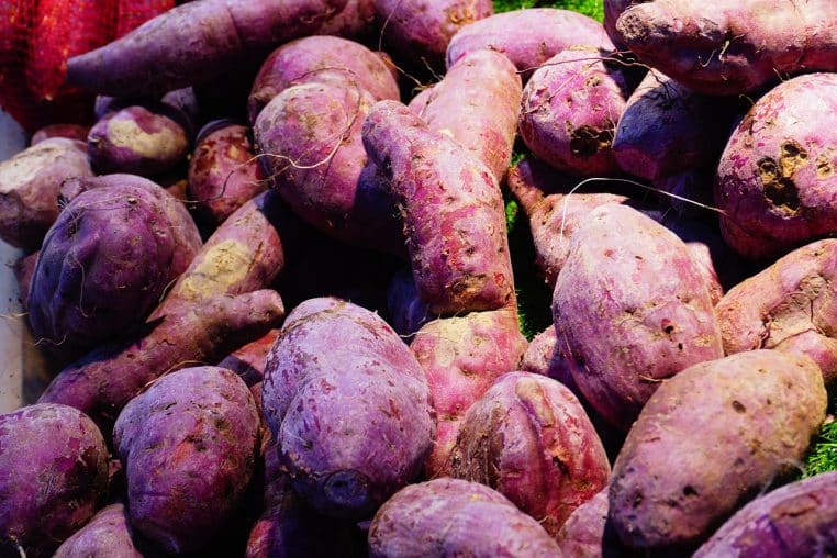 Gros plan sur plusieurs patates douces violettes posées côte à côte, mettant en valeur leur couleur intense et leur peau texturée.