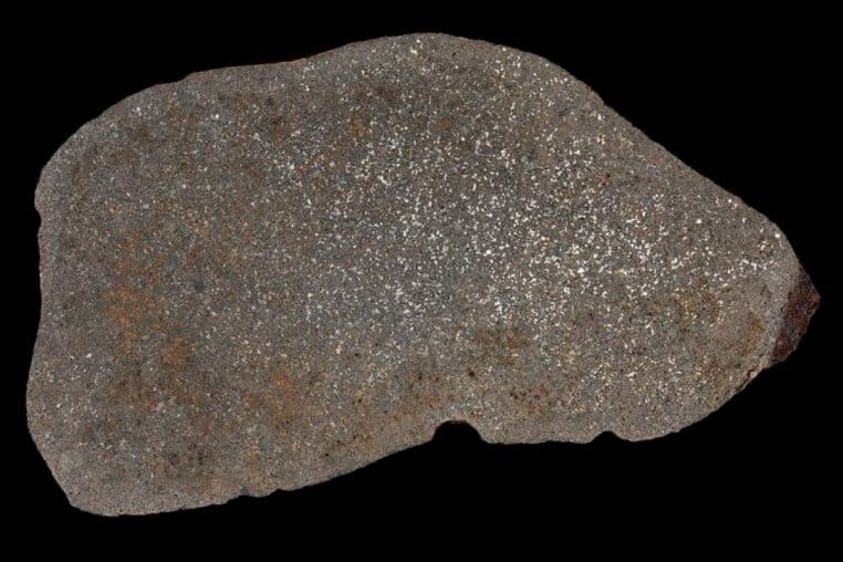 Tranche polie de la météorite de Maryborough isolée sur fond noir, montrant une texture grise mouchetée de nombreux points métalliques brillants.