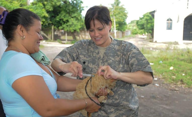 Vétérinaire administrant un vaccin à un chat roux tenu dans les bras, scène de soins en format horizontal