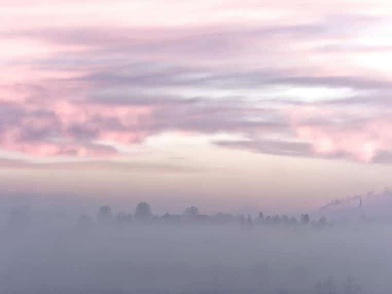 A peaceful misty morning scene with pink clouds and soft fog.