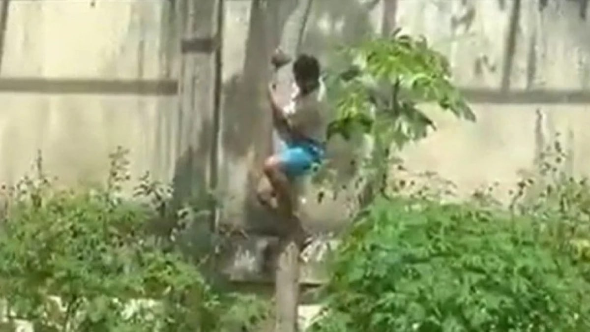 Adolescent Devore Lionne