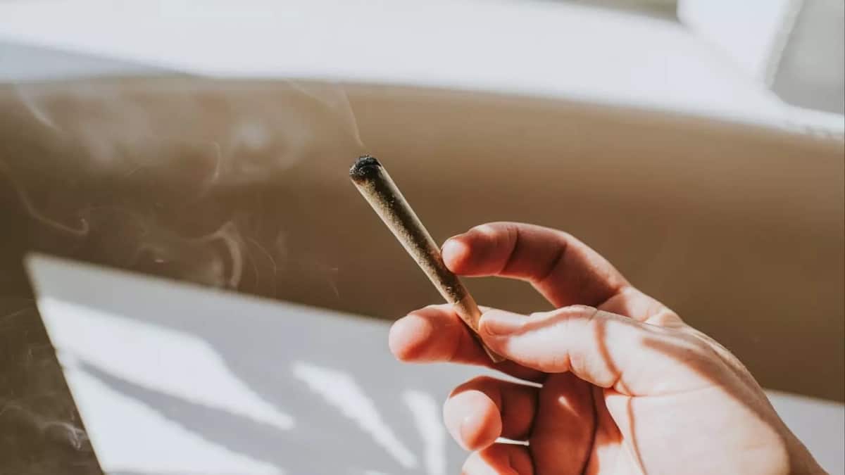 Cannabis Cardiologue Effets