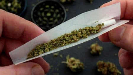 Cannabis Fumeur Consequences