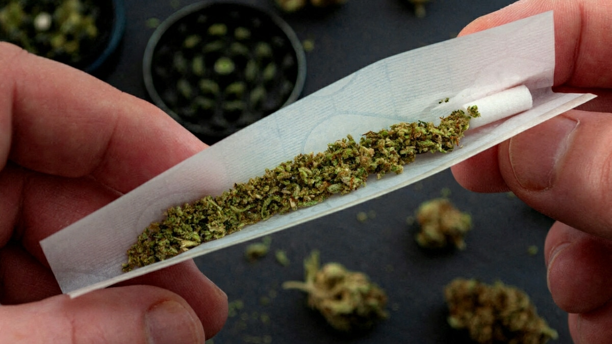 Cannabis Fumeur Consequences