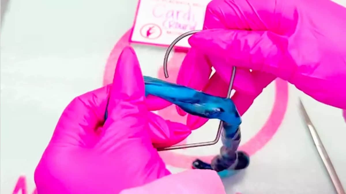 Cardi B Cordon Ombilical