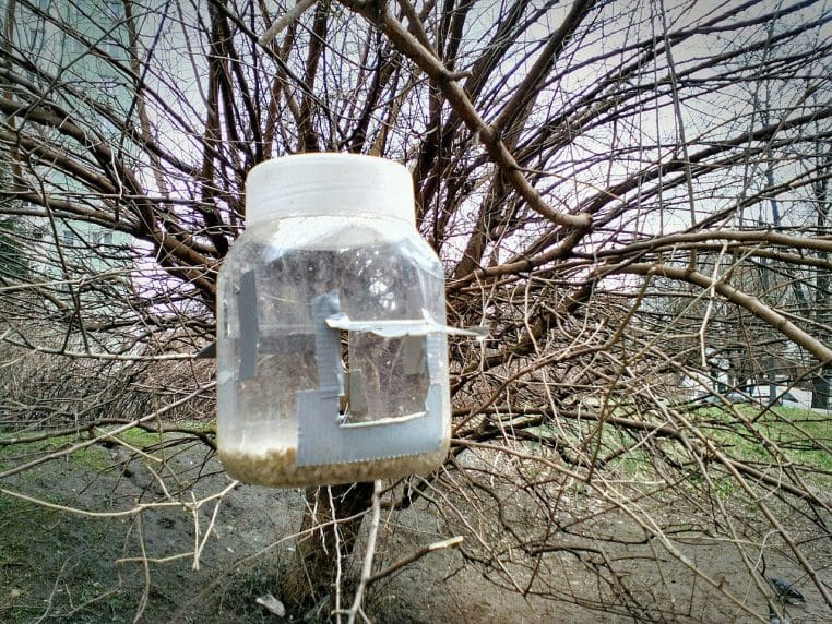 Une mangeoire DIY suspendue avec un bocal transparent rempli de graines, installée sur une branche dans un jardin.