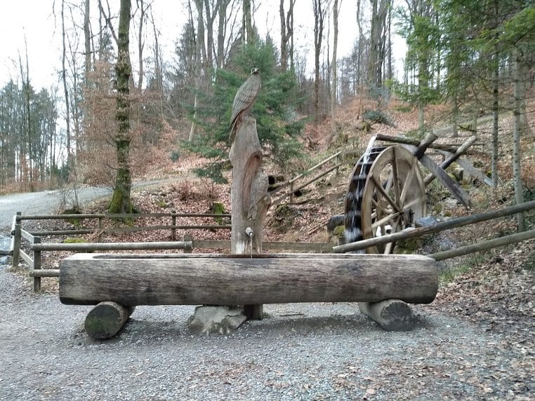 Fontaine à eau intérieure en gros plan, élément clé d’une enquête sanitaire après des malaises survenus dans une cantine.