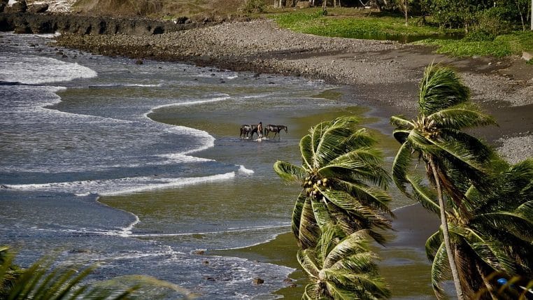 Plage de Hiva Oa aux Marquises, rivage tropical et reliefs en arrière-plan, lumière de fin de journée.